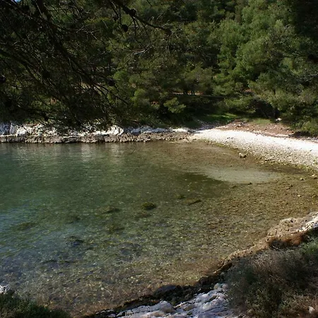Gostinjska kuća Double Seget Vranjica 3079e